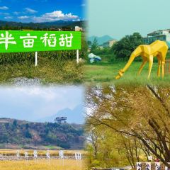 茂盛小吃 User Photo