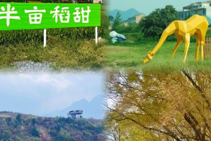 茂盛小吃