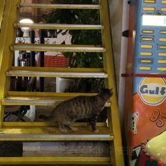 DON'T PANIC User Photo