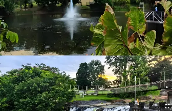 Shelly Beach Golf Club