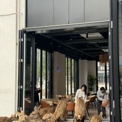 梅花鹿庄园酒店·鹿鸣苑 User Photo