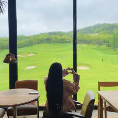 1피트 가든 여행 사진