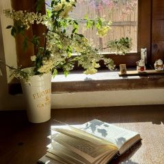绿也·梦核鱼缸·庭院花园餐厅 User Photo