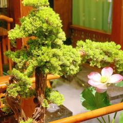興艺坊·牡丹烤鸭(应天门店) User Photo