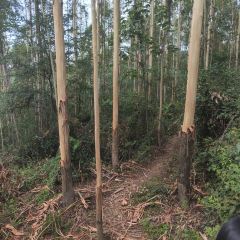 山涧别院 User Photo