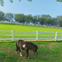 牛头饭店(西溪路店) User Photo
