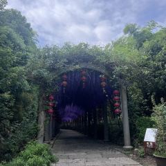 維一億江南（長興店）張用戶圖片
