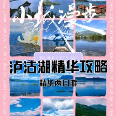 HONG YING NOSHERY User Photo