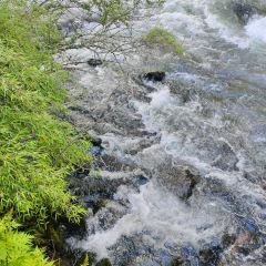 毕棚沟娜姆湖度假酒店·风味餐厅 User Photo