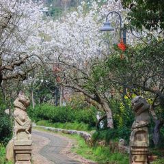 中吳賓館·玖園·毓秀舫張用戶圖片