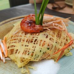 Mango Tree User Photo