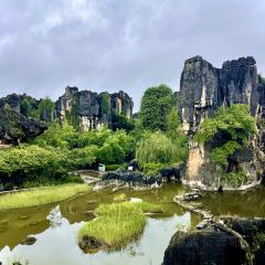 石林杏林大观园樱花峪药膳坊餐厅 User Photo