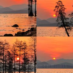 IN MY HEART 여행 사진