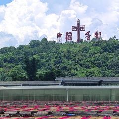 桃溪老醋坊 여행 사진