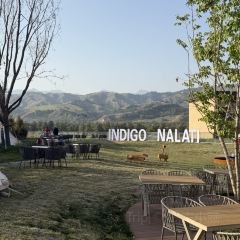 那拉提华美胜地英迪格酒店·恰秀·邻里餐厅 User Photo