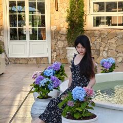 MOREE•莫瑞法式花園（橋東店）張用戶圖片