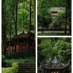 TU ZAO REN JIA CHAIHUO CHICKEN User Photo