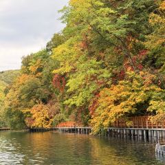 本达人海鲜烧烤(发展店) User Photo