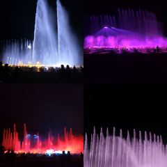 河源春沐源小镇·棕榈树酒店·Papa Razzi西餐厅 User Photo