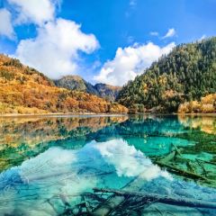 阿妈家特色藏餐(九寨沟店) User Photo