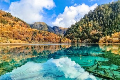 阿妈家特色藏餐(九寨沟店)