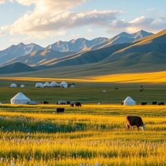 魏家羊羔肉(天山区店) User Photo