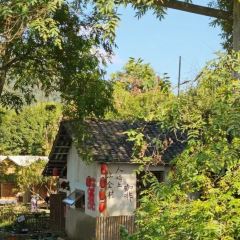 LIU YANG YUAN ZI User Photo