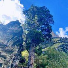 Hot pot of Tibetan User Photo