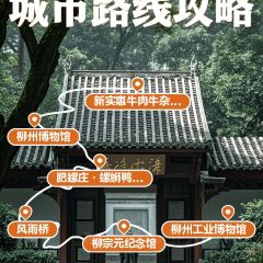 FEI LUO ZHUANG User Photo