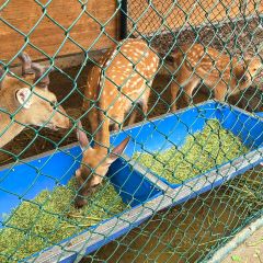 马守疆包头老馆子 User Photo