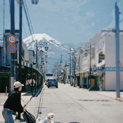 Kawaguchiko Shizen Seikatsukan User Photo