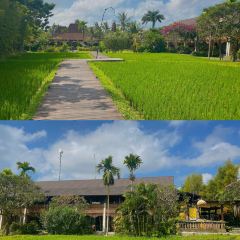 Pison Ubud User Photo