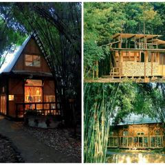 Fanpu Life User Photo