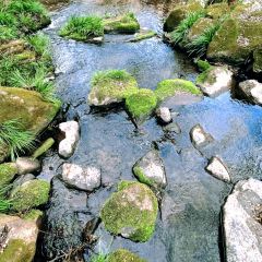 北山淩英手擀麵張用戶圖片