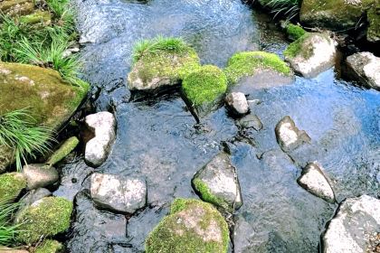 北山淩英手擀麵