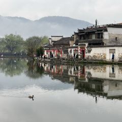 宏村得月楼(月沼店) User Photo