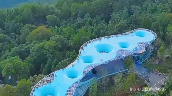 Moon Ridge Forest Health and Wellness Tourism Resort