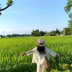 凡塔夕 User Photo
