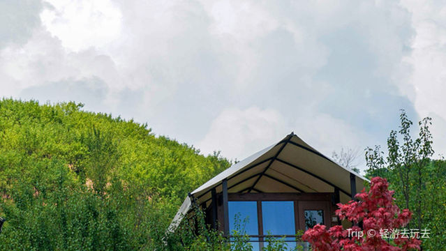 zao chun san hua xiang cun du jia qu