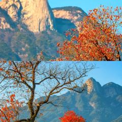 Sage Hall Homestay User Photo