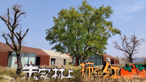 shi zi hong li xiang cun lv le yuan