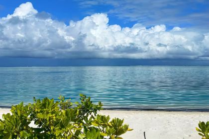 Moonlight - FOOD . DRINKS . SHISHA