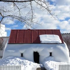 Tonkatsu Tonton張用戶圖片