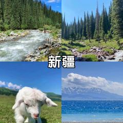 可爱的那拉提 User Photo