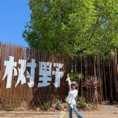 树野融合餐厅 User Photo