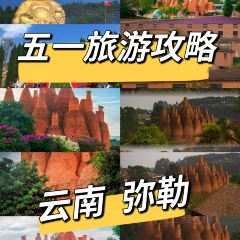 沈卫国卤鸡店(总店) User Photo