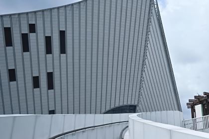 Jiuhaozizhuzhongcan (daminglu)