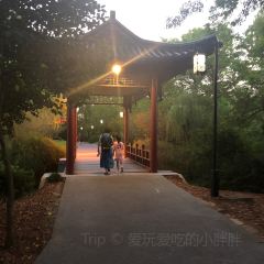 Fuxing (wenchang) User Photo