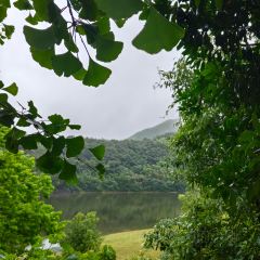 LI DONG NONG ZHUANG User Photo