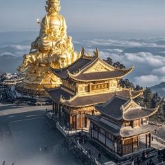 ZHAO YA ZI User Photo